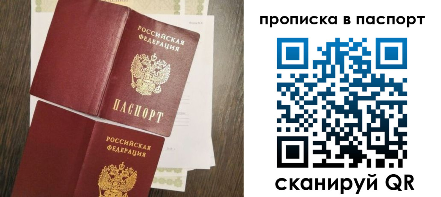 прописка гарантия в Бабаево