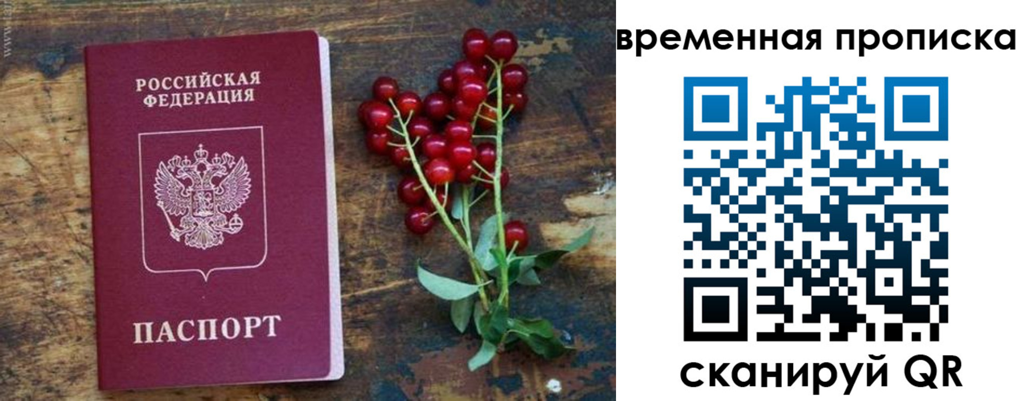 временная регистрация гарантия в Бабаево
